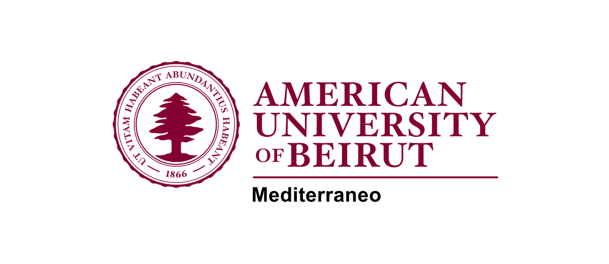 American University of Beirut: Conference in Digitalisation of Cultural Heritage