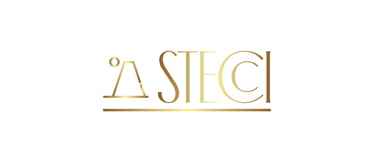1st STECCI Conference: Preserving Cultural Heritage in Times of Climate Change